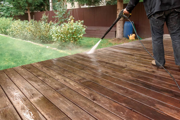 Best Roof Cleaning and Mildew Removal in Muniz, TX